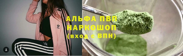 стафф Аркадак