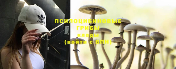 метадон Армянск