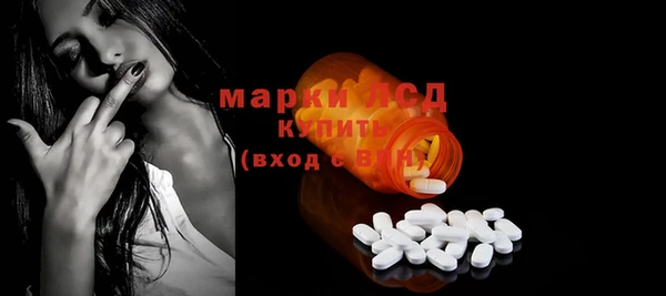шишки Няндома