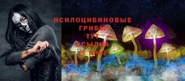 стафф Аркадак