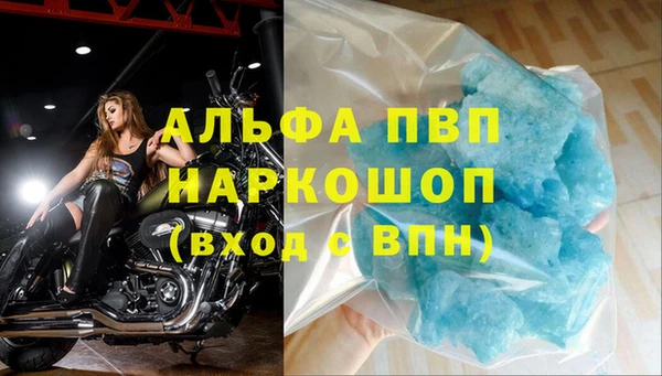 стафф Аркадак