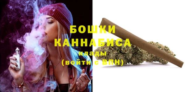 стафф Аркадак