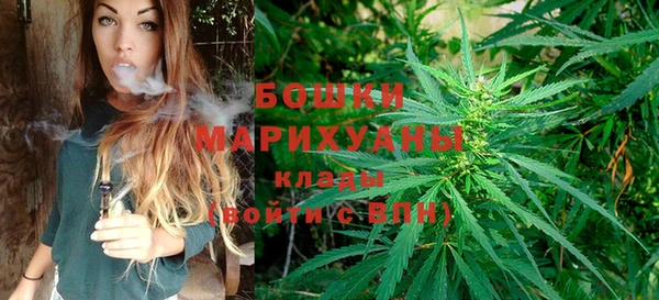 стафф Аркадак